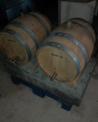 botti in legno 