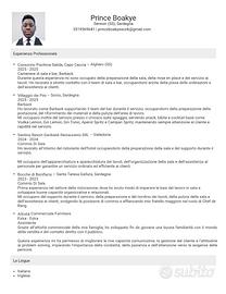 Barback/ commis di sala