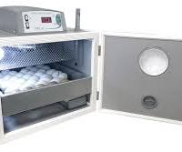 ICUBATRICI PER GALLINE MARCA FIEM