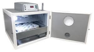 ICUBATRICI PER GALLINE MARCA FIEM