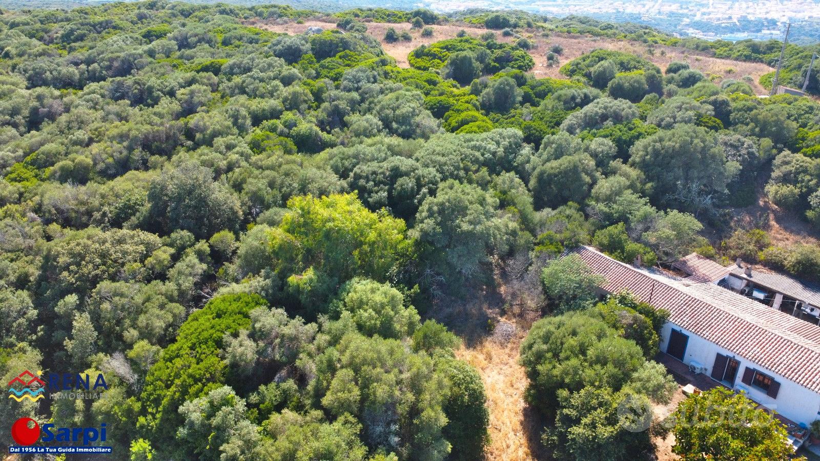 Stazzo da ristrutturare con terreno - Santa Teresa - Vista 2