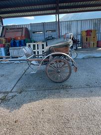 Calesse carrozza biga
