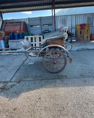 Calesse carrozza biga
