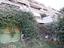 Immagine 26