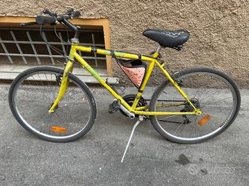 Bicicletta per ragazzo