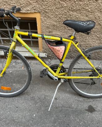 Bicicletta per ragazzo