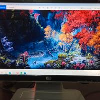 Schermo Monitor per PC HP