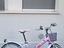 Immagine 3