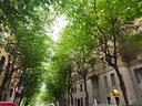 3-locali-a-roma