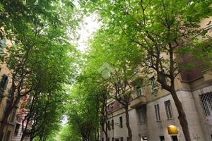 3 LOCALI A ROMA
