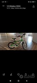 bicicletta bambino 16 pollici