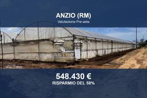 Immobile in asta di 33926 m² a Anzio