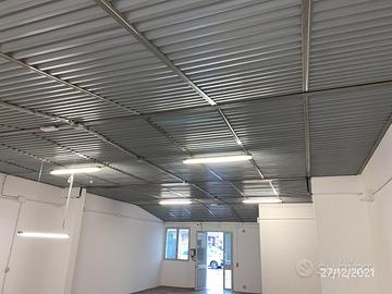 Capannone Artigianale