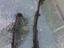 Immagine 19