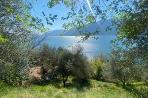 RUSTICO A MARONE