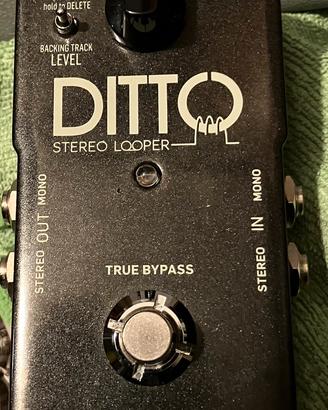 TC ELECTRONIC DITTO LOOPER
