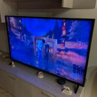 Smart tv LG 55 Pollici