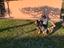 Immagine 2