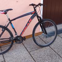 bicicletta MTB ragazzo 