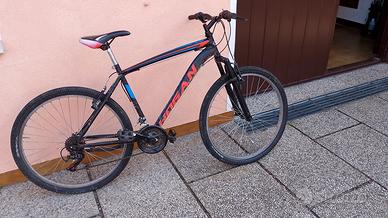 bicicletta MTB ragazzo 