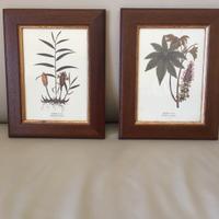 Quadretti da cucina