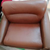 coppia divano e poltrona.