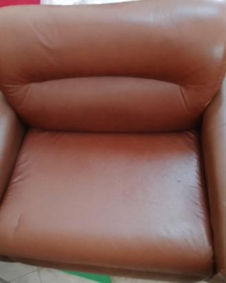 coppia divano e poltrona.