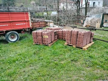 Tegole wierer coppo di Francia