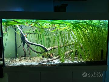 Acquario juwel rio 350 led completo