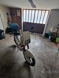 Fantic Altro modello