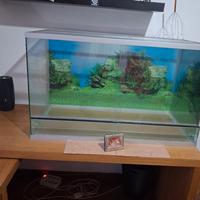 terrario
