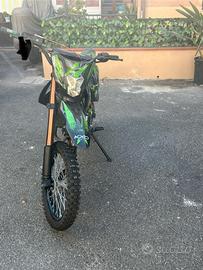 Asiawing Altro modello - 2024