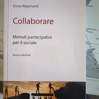 Collaborare. Ripamonti. Carrocci editore 