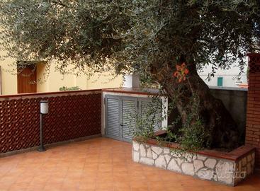 Cirella di Diamante