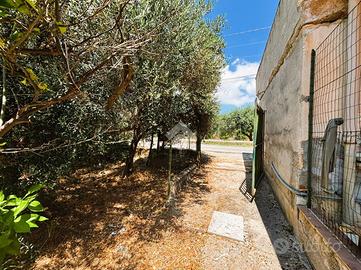 TER. AGRICOLO A BAGHERIA