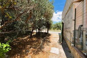 TER. AGRICOLO A BAGHERIA