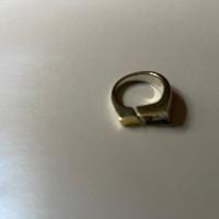 l'anello d'argento con la pietra naturale ,agosto