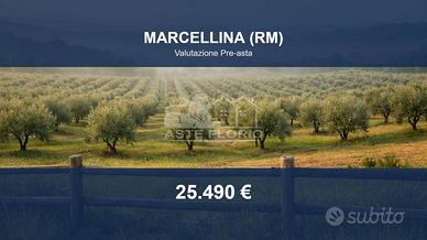 Immobile in asta di 2610 m² a Marcellina