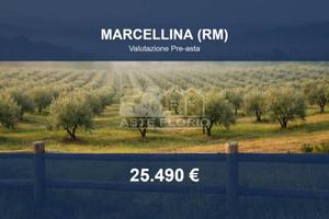 Immobile in asta di 2610 m² a Marcellina