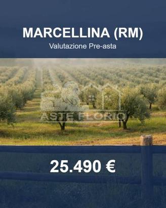 Immobile in asta di 2610 m² a Marcellina