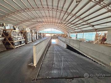 Capannone con rampa per automezzi per 1 piano