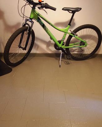 Mtb Alpina