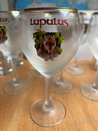 Bicchieri birra Lupulus