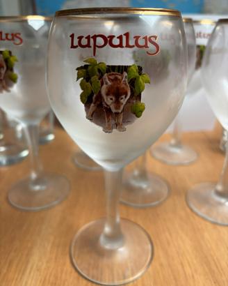 Bicchieri birra Lupulus