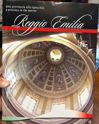 Libro Reggio Emilia una provincia allo specchio