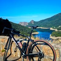 giant tcr