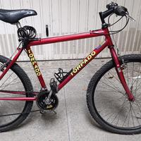 Bicicletta