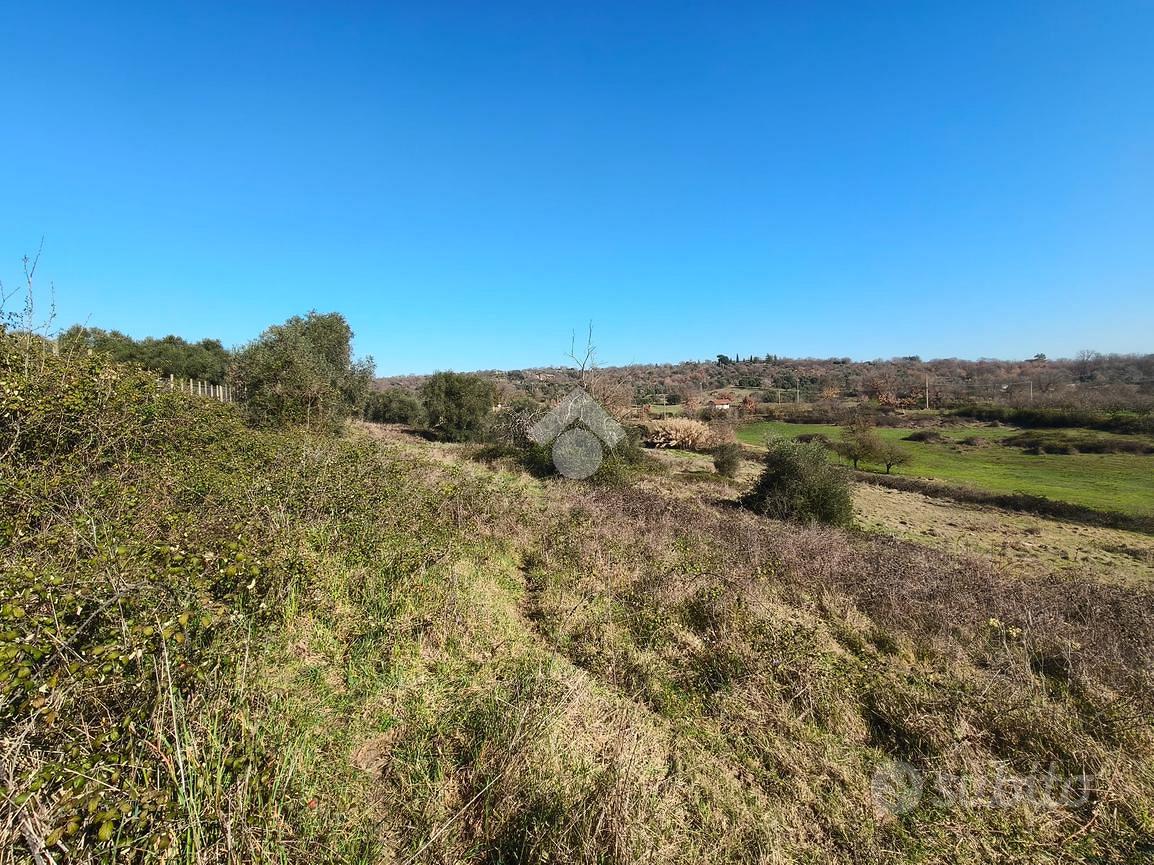 TER. AGRICOLO A SANT'ANGELO ROMANO - Vista 5