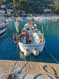 Barca da Pesca 8 mt VTR pronta alla Boa