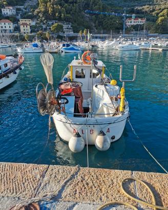 Barca da Pesca 8 mt VTR pronta alla Boa